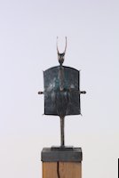 img12