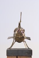img19