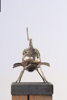 img20