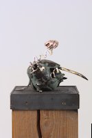 img29