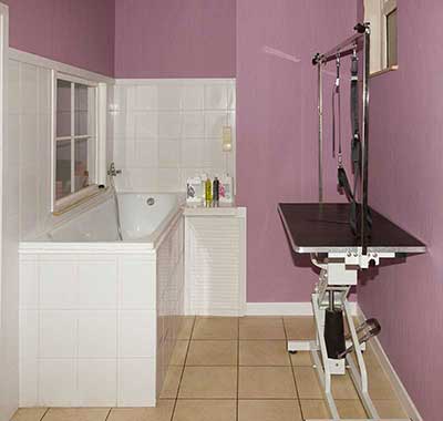 le salon de toilettage canin