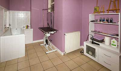 le salon de toilettage canin
